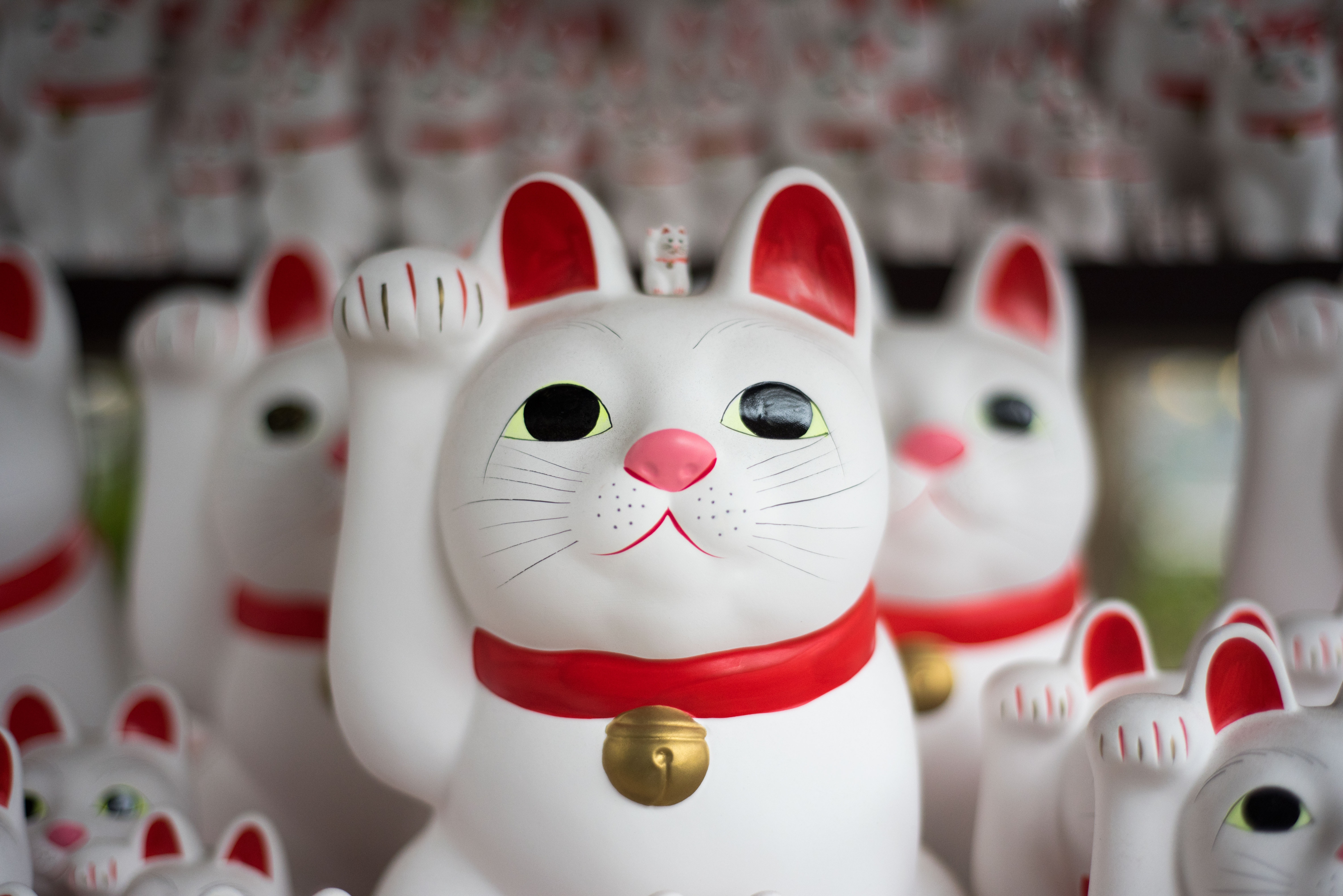 image of maneki-neko lucky cat